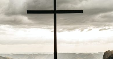 pexels jonathan borba 2917373