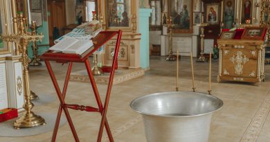 pexels marina abrosimova 7367721