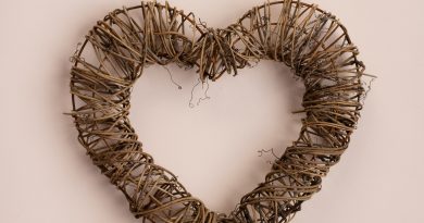 pexels monstera 5874719