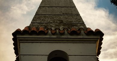 pexels noe de angelis 15686825