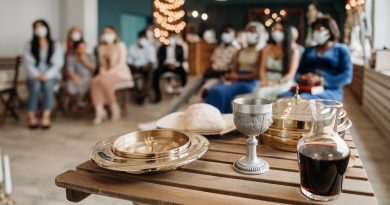 pexels pavel danilyuk 8815067