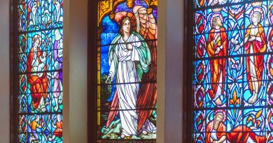 pexels rdne stock project 8674185