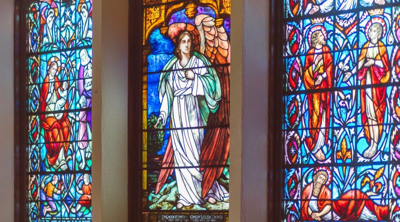 pexels rdne stock project 8674185