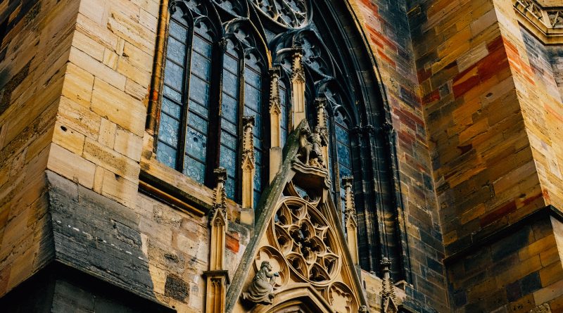 pexels adrien olichon 5091744