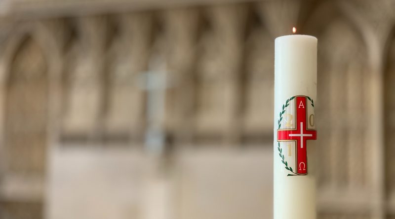 pexels stephen girling 4130341