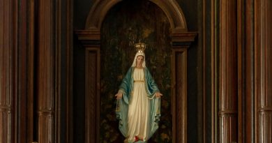 pexels hiago rocha 18997634