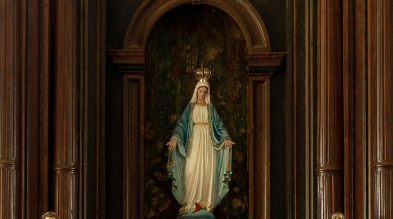 pexels hiago rocha 18997634