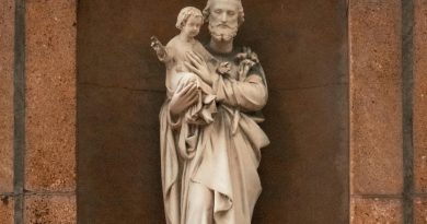 pexels jakub pabis 15899674