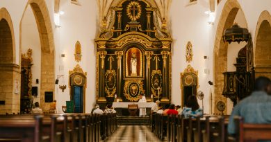 pexels julia volk 5273117