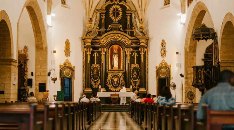 pexels julia volk 5273117