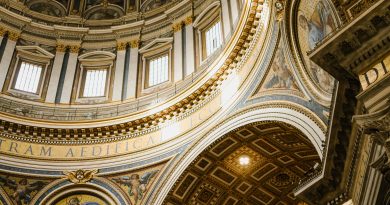 pexels julia volk 5273637