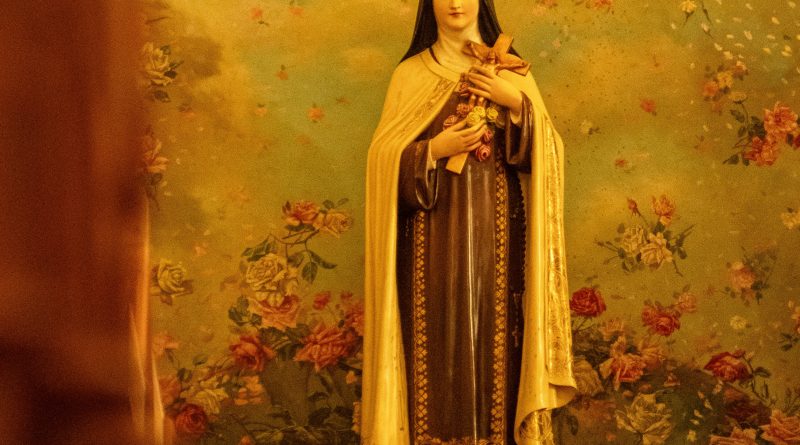 pexels alex quezada 18888568