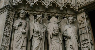 pexels julia volk 5273438