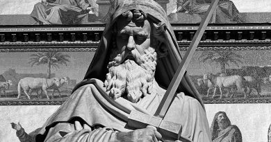 pexels marija rusaka 13436421