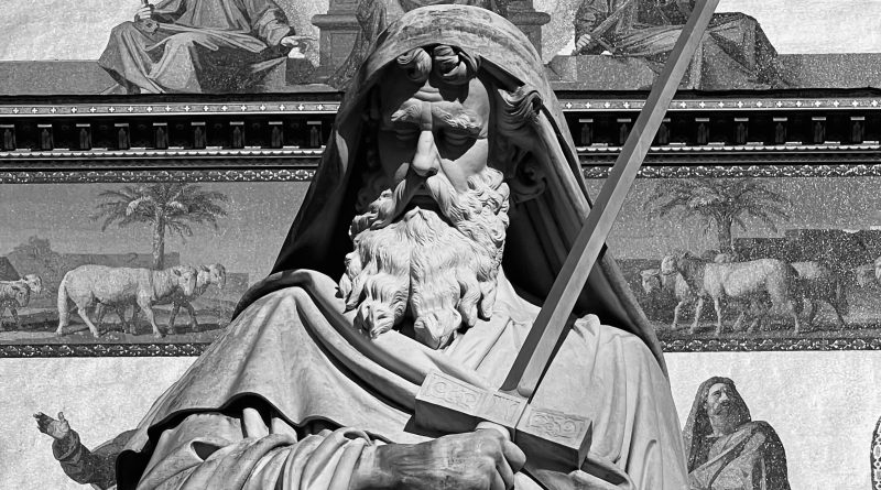 pexels marija rusaka 13436421