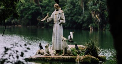 pexels carlos moura 18988128