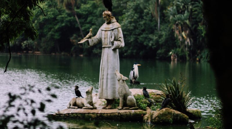 pexels carlos moura 18988128