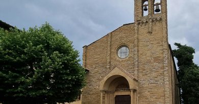 pexels ivan dražić 14364848