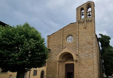 pexels ivan dražić 14364848