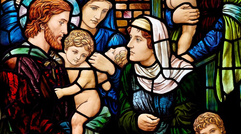 pexels mike bird 3795022 (1)