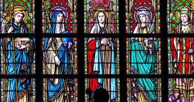 pexels paolo 3993919