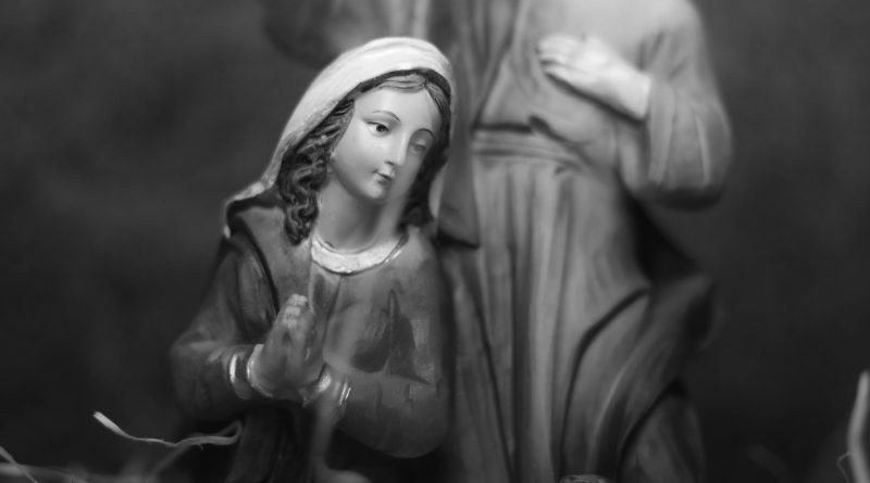 pexels guilman 5989257